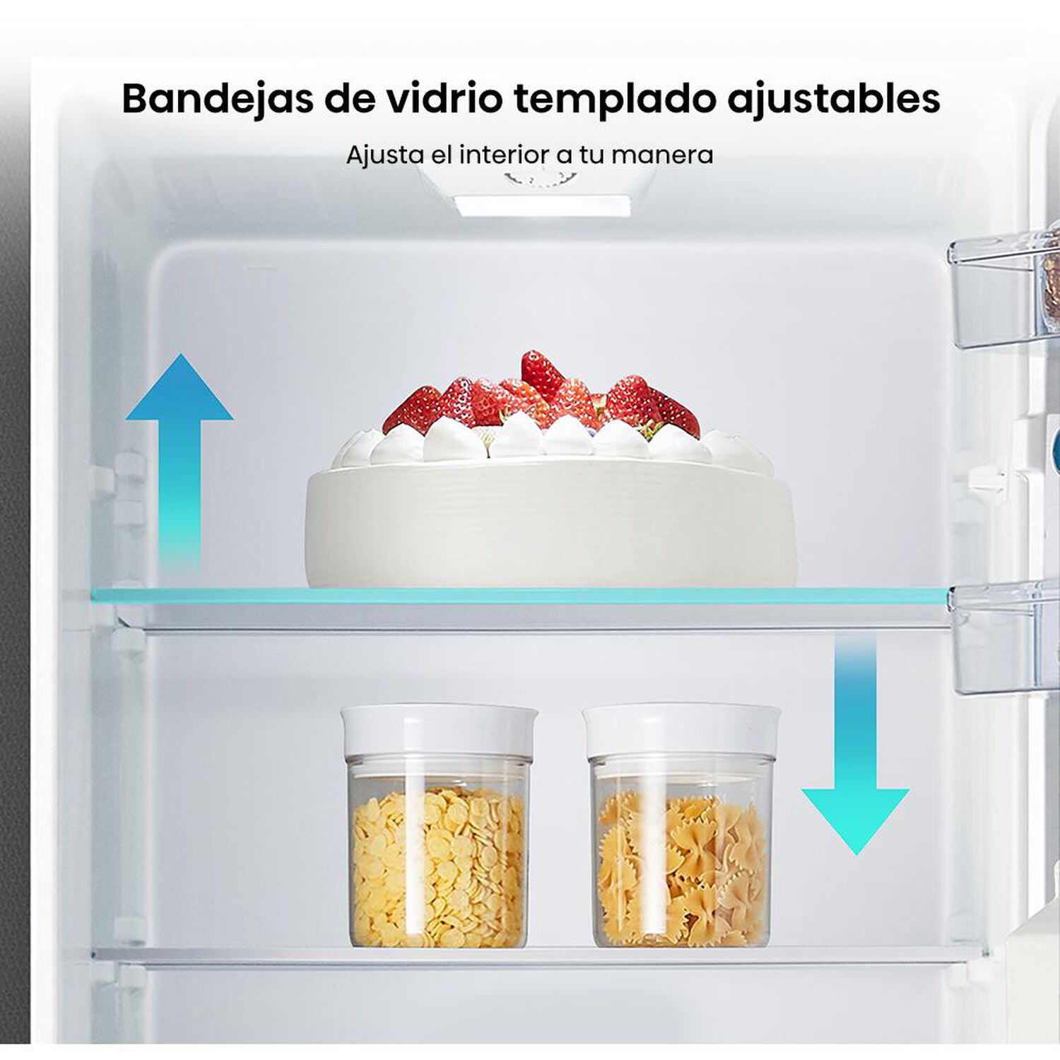Refrigerador Bottom Freezer Hisense RD-22DC / Fr&iacute;o Directo / 165 Litros / A+ image number 3.0